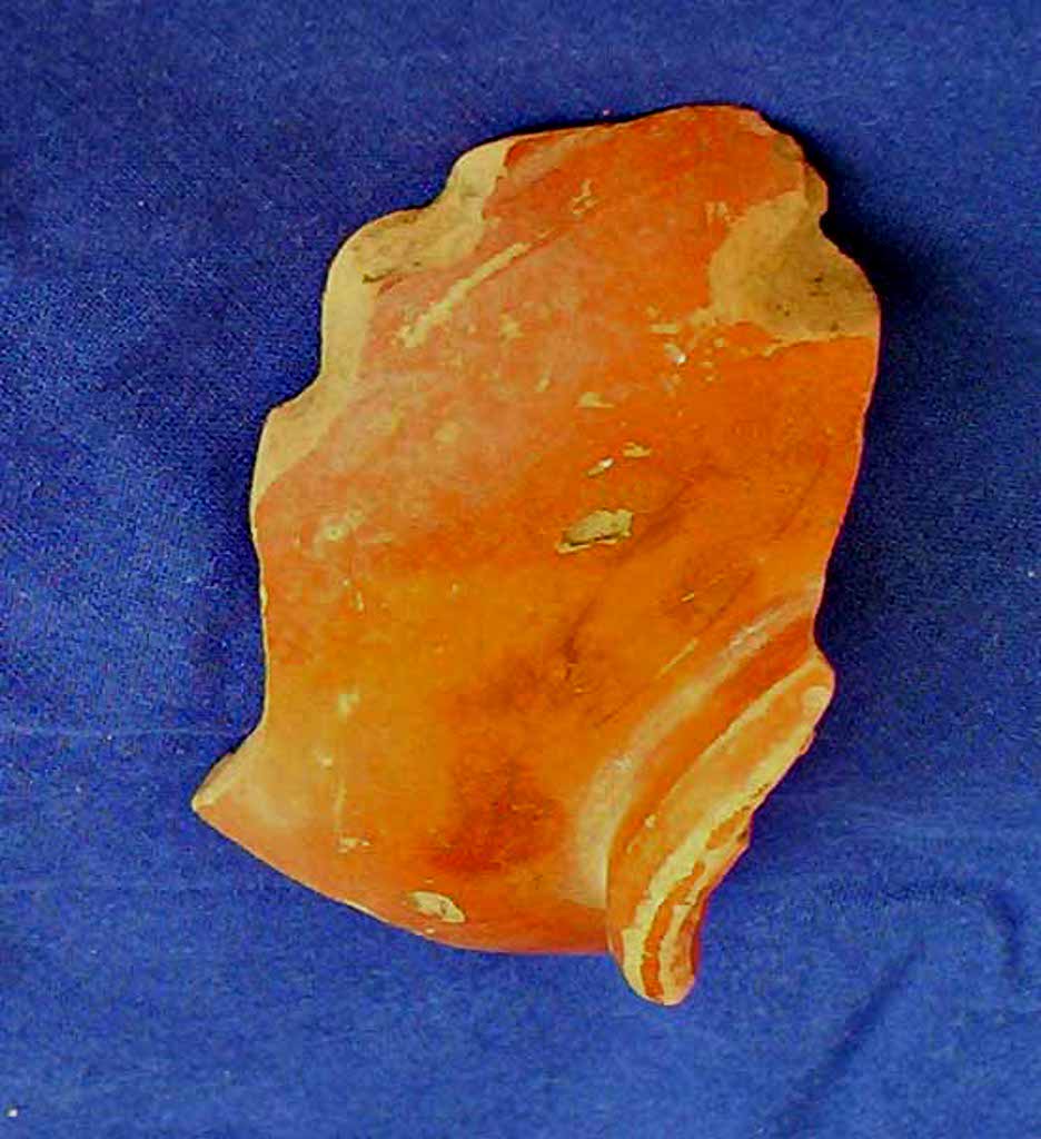 Tesson de sigillée DRAG 31. Photo Jean-Pierre Cosnier