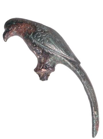 Le perroquet trouvé à Bliesbruck.