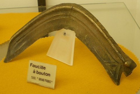 Faucille à bouton. Bronze Moyen. Toul Grand-Paquis.