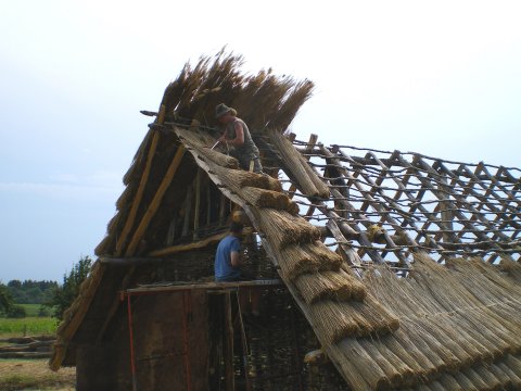 Détail de la charpente.