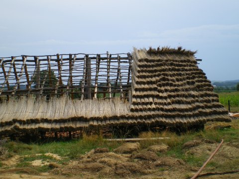 La maison néolithique vue de côté.