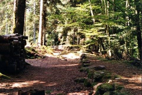 La terrasse périphérique près de l'extrémité ouest de l'éperon.