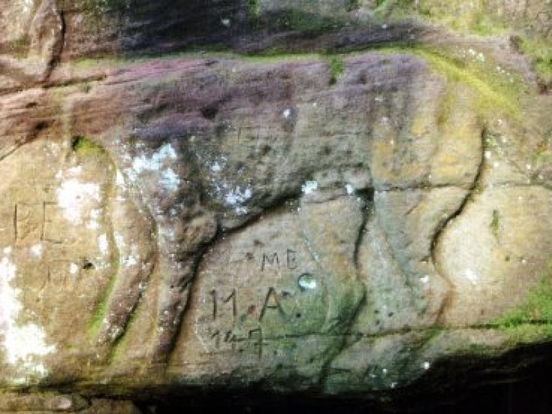 Le grand chien à la gauche du dieu