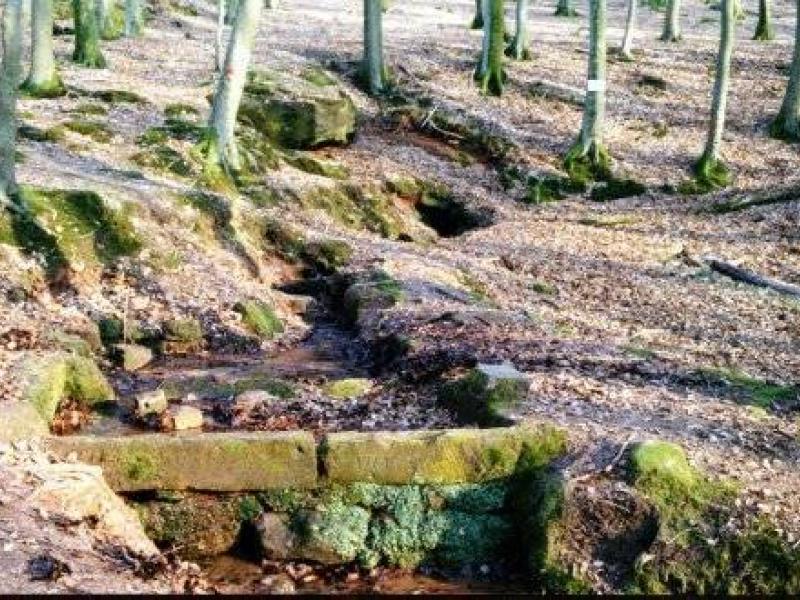 Les bassins et la source